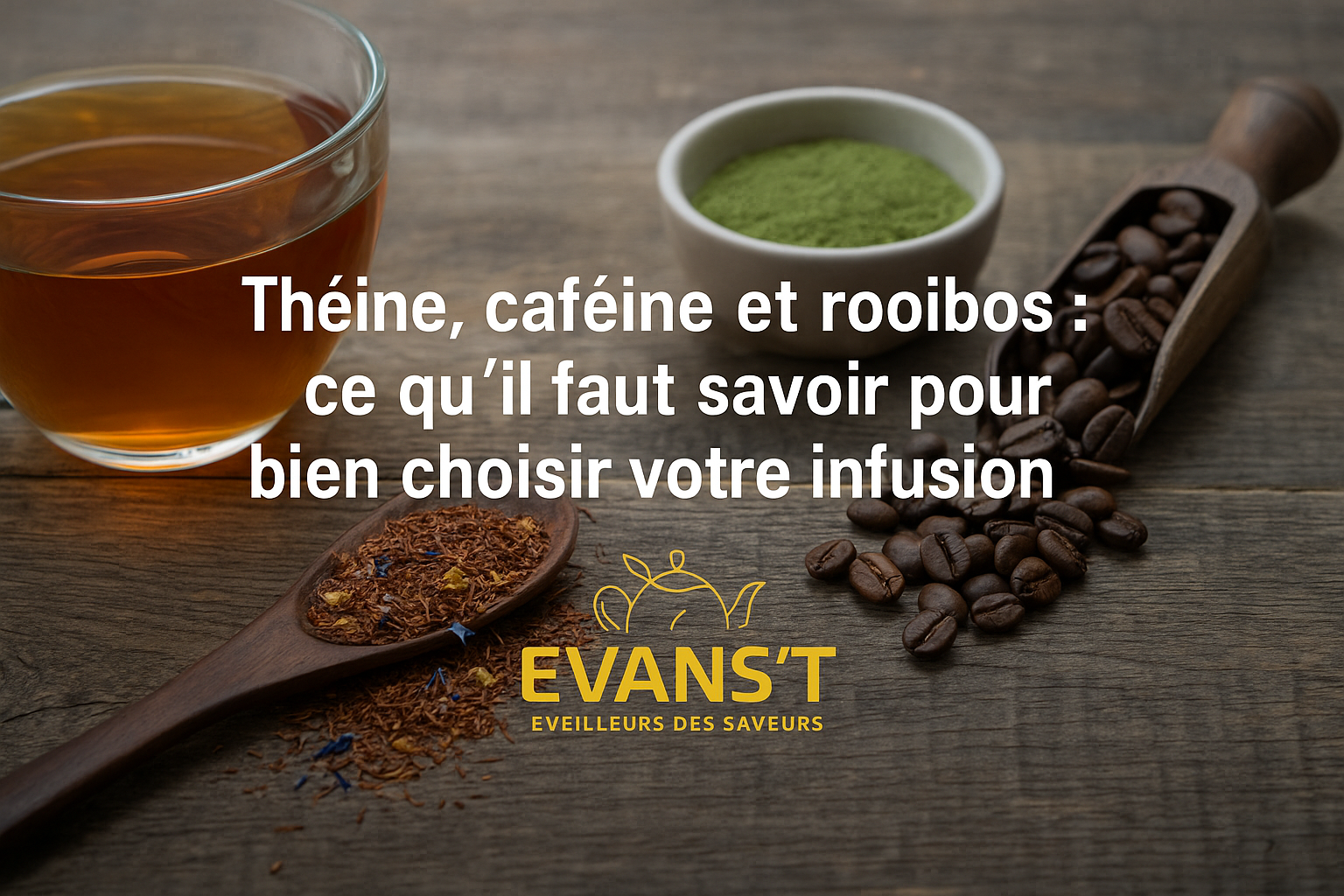 Théine, caféine et rooibos : ce qu’il faut savoir pour bien choisir votre infusion EVANS’T